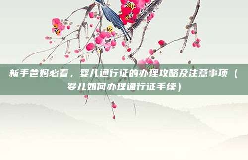 新手爸妈必看,婴儿通行证的办理攻略及注意事项(婴儿如何办理通行证手续)