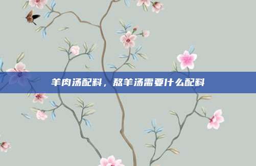 羊肉汤配料，熬羊汤需要什么配料