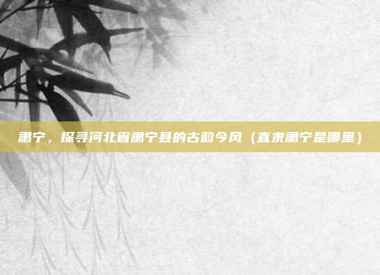 肃宁,探寻河北省肃宁县的古韵今风(直隶肃宁是哪里)