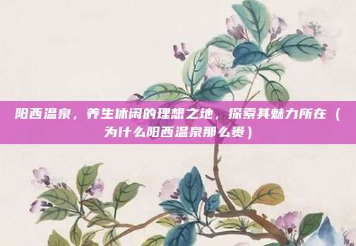 阳西温泉,养生休闲的理想之地,探索其魅力所在(为什么阳西温泉那么贵)