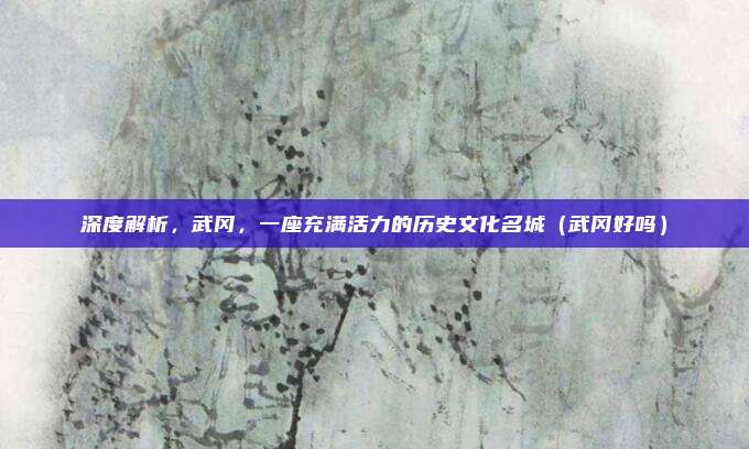 深度解析,武冈,一座充满活力的历史文化名城(武冈好吗)