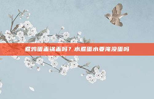 煮鸡蛋盖锅盖吗?水煮蛋水要淹没蛋吗