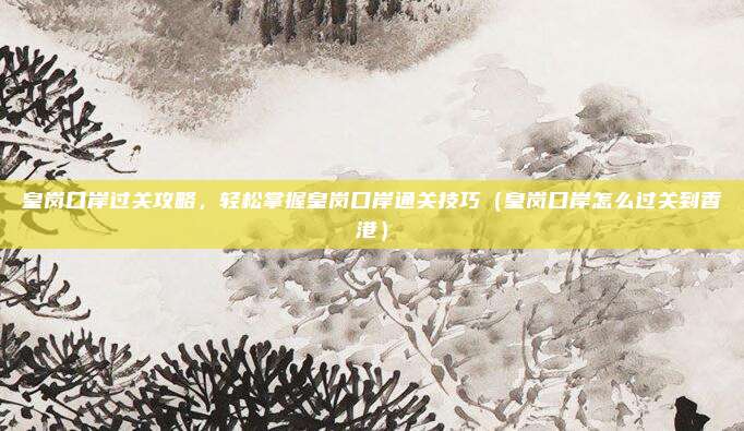 皇岗口岸过关攻略,轻松掌握皇岗口岸通关技巧(皇岗口岸怎么过关到香港)