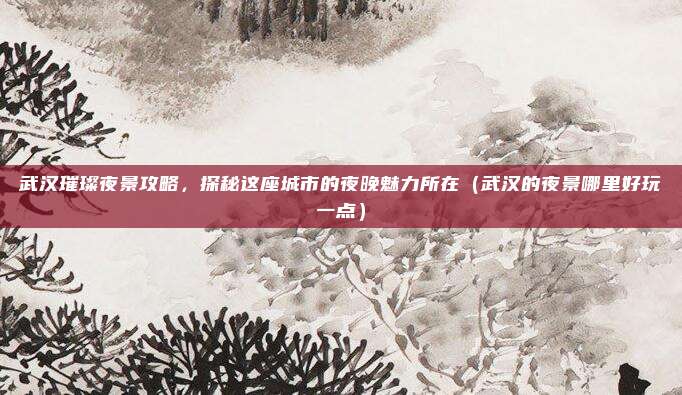 武汉璀璨夜景攻略,探秘这座城市的夜晚魅力所在(武汉的夜景哪里好玩一点)