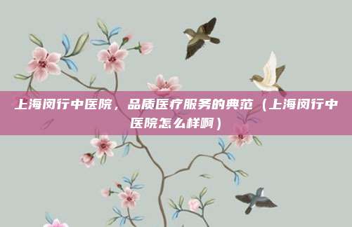 上海闵行中医院,品质医疗服务的典范(上海闵行中医院怎么样啊)