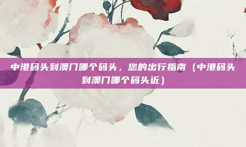 中港码头到澳门哪个码头,您的出行指南(中港码头到澳门哪个码头近)
