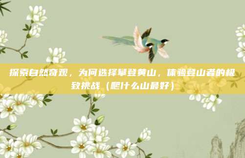探索自然奇观,为何选择攀登黄山,体验登山者的极致挑战(爬什么山最好)