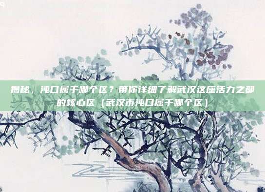 揭秘，沌口属于哪个区？带你详细了解武汉这座活力之都的核心区（武汉市沌口属于哪个区）
