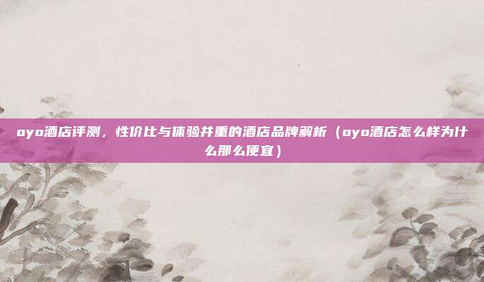 oyo酒店评测，性价比与体验并重的酒店品牌解析（oyo酒店怎么样为什么那么便宜）