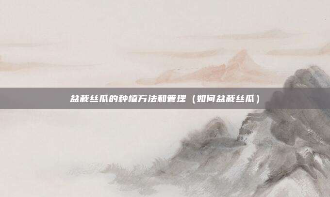 盆栽丝瓜的种植方法和管理（如何盆栽丝瓜）