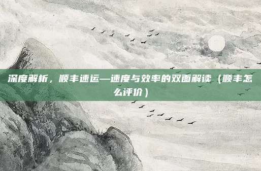 深度解析,顺丰速运—速度与效率的双面解读(顺丰怎么评价)