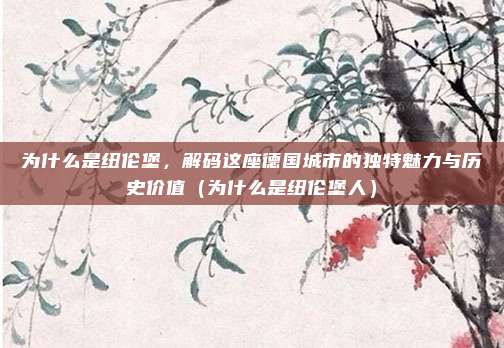 为什么是纽伦堡,解码这座德国城市的独特魅力与历史价值(为什么是纽伦堡人)