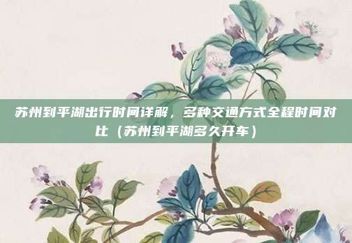苏州到平湖出行时间详解,多种交通方式全程时间对比(苏州到平湖多久开车)