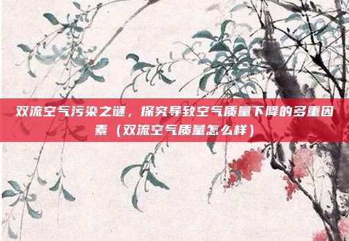 双流空气污染之谜，探究导致空气质量下降的多重因素（双流空气质量怎么样）