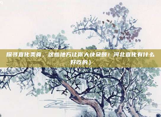 探寻宣化美食,这些地方让你大快朵颐!河北宣化有什么好吃的)