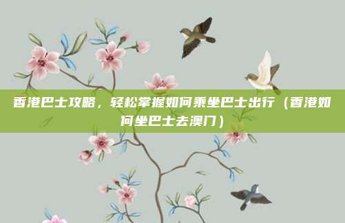 香港巴士攻略,轻松掌握如何乘坐巴士出行(香港如何坐巴士去澳门)