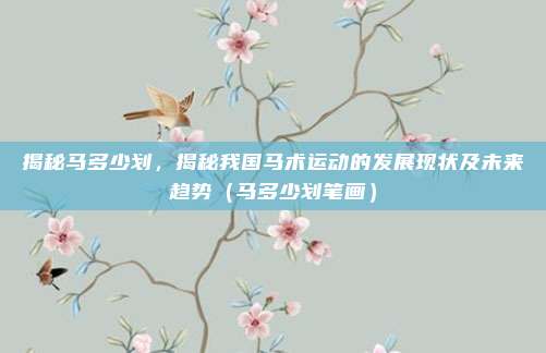 揭秘马多少划,揭秘我国马术运动的发展现状及未来趋势(马多少划笔画)