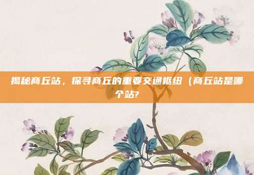 揭秘商丘站,探寻商丘的重要交通枢纽(商丘站是哪个站?