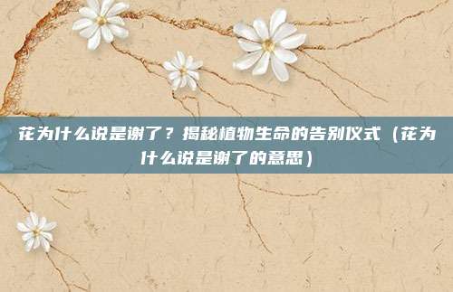 花为什么说是谢了？揭秘植物生命的告别仪式（花为什么说是谢了的意思）