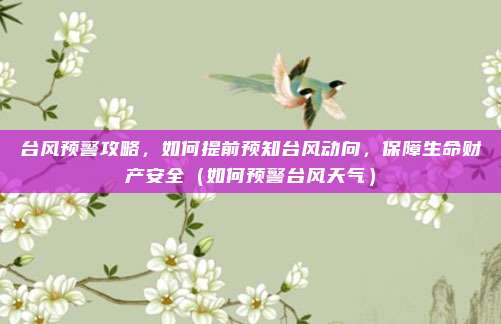 台风预警攻略,如何提前预知台风动向,保障生命财产安全(如何预警台风天气)