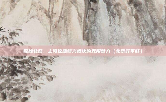 探秘北蔡,上海这座新兴板块的无限魅力(北蔡好不好)
