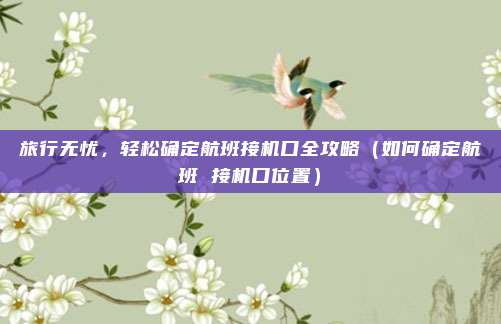 旅行无忧,轻松确定航班接机口全攻略(如何确定航班 接机口位置)