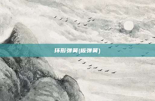 环形弹簧(板弹簧)