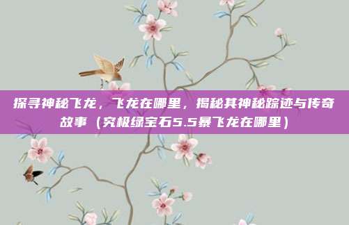 探寻神秘飞龙，飞龙在哪里，揭秘其神秘踪迹与传奇故事（究极绿宝石5.5暴飞龙在哪里）