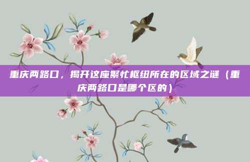 重庆两路口,揭开这座繁忙枢纽所在的区域之谜(重庆两路口是哪个区的)