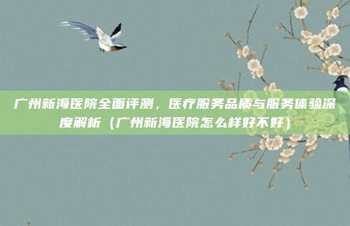 广州新海医院全面评测,医疗服务品质与服务体验深度解析(广州新海医院怎么样好不好)
