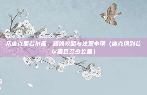 从唐克回若尔盖,路线攻略与注意事项(唐克镇到若尔盖县多少公里)