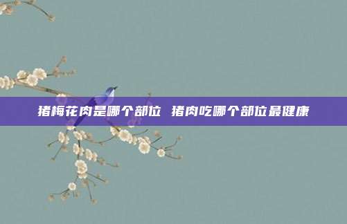 猪梅花肉是哪个部位 猪肉吃哪个部位最健康