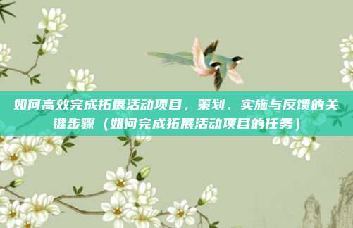 如何高效完成拓展活动项目，策划、实施与反馈的关键步骤（如何完成拓展活动项目的任务）