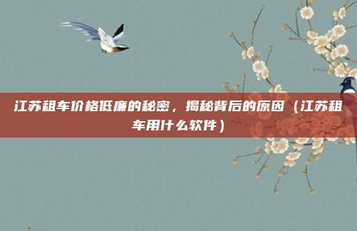江苏租车价格低廉的秘密,揭秘背后的原因(江苏租车用什么软件)