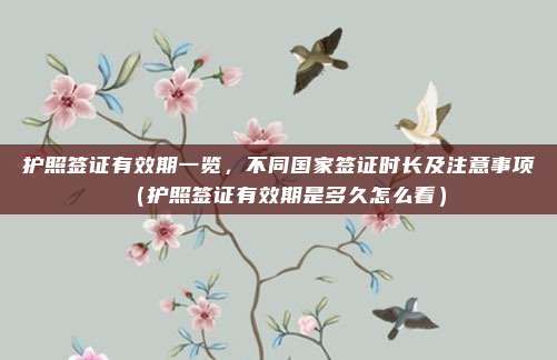 护照签证有效期一览,不同国家签证时长及注意事项(护照签证有效期是多久怎么看)