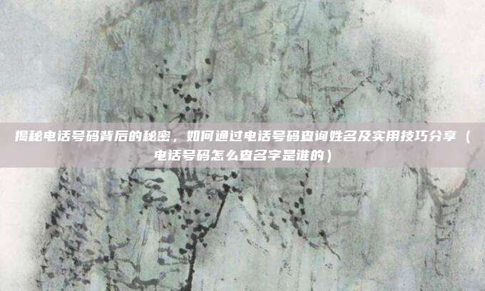 揭秘电话号码背后的秘密,如何通过电话号码查询姓名及实用技巧分享(电话号码怎么查名字是谁的)