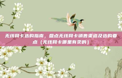 无线网卡选购指南,盘点无线网卡销售渠道及选购要点(无线网卡哪里有卖的)