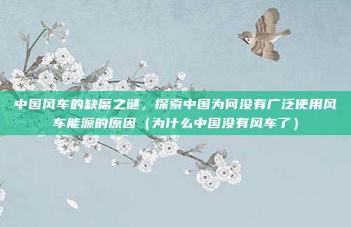 中国风车的缺席之谜,探索中国为何没有广泛使用风车能源的原因(为什么中国没有风车了)
