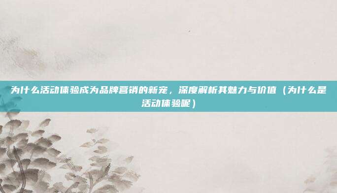 为什么活动体验成为品牌营销的新宠,深度解析其魅力与价值(为什么是活动体验呢)