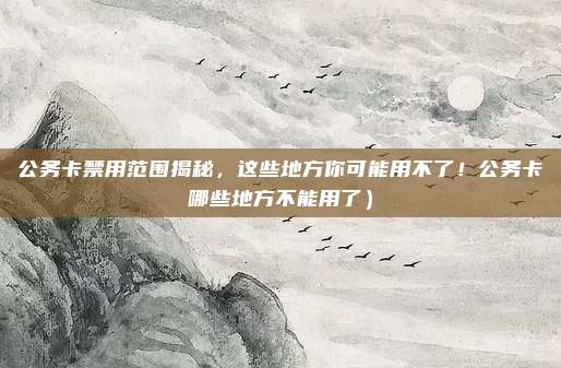 公务卡禁用范围揭秘,这些地方你可能用不了!公务卡哪些地方不能用了)