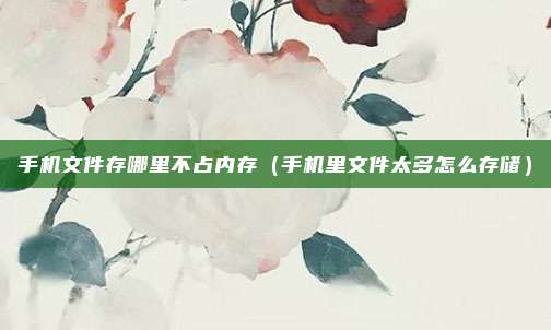 手机文件存哪里不占内存（手机里文件太多怎么存储）