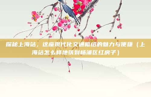 探秘上海站,这座现代化交通枢纽的魅力与便捷(上海站怎么样地铁到杨浦区红房子)