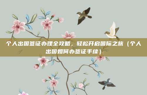 个人出国签证办理全攻略,轻松开启国际之旅(个人出国如何办签证手续)