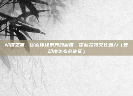 印度之旅,探索神秘东方的国度,体验独特文化魅力(去印度怎么样签证)