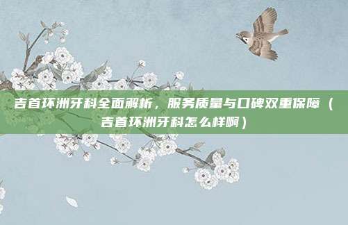 吉首环洲牙科全面解析,服务质量与口碑双重保障(吉首环洲牙科怎么样啊)