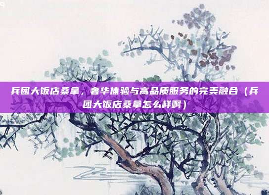 兵团大饭店桑拿,奢华体验与高品质服务的完美融合(兵团大饭店桑拿怎么样啊)