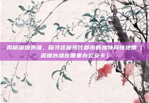 揭秘深圳外滩,探寻这座现代都市的独特风情地带(深圳外滩在哪里办公交卡)