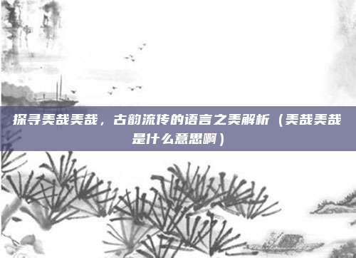 探寻美哉美哉,古韵流传的语言之美解析(美哉美哉是什么意思啊)
