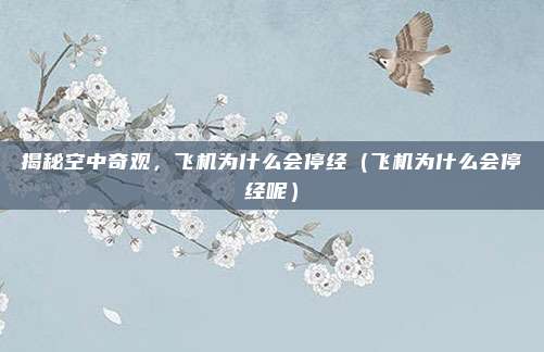 揭秘空中奇观,飞机为什么会停经(飞机为什么会停经呢)