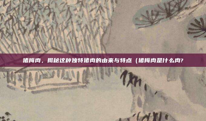 猪梅肉,揭秘这种独特猪肉的由来与特点(猪梅肉是什么肉?